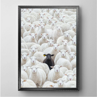 Black Sheep by CM