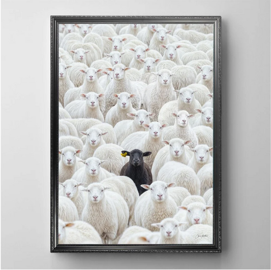 Black Sheep by CM